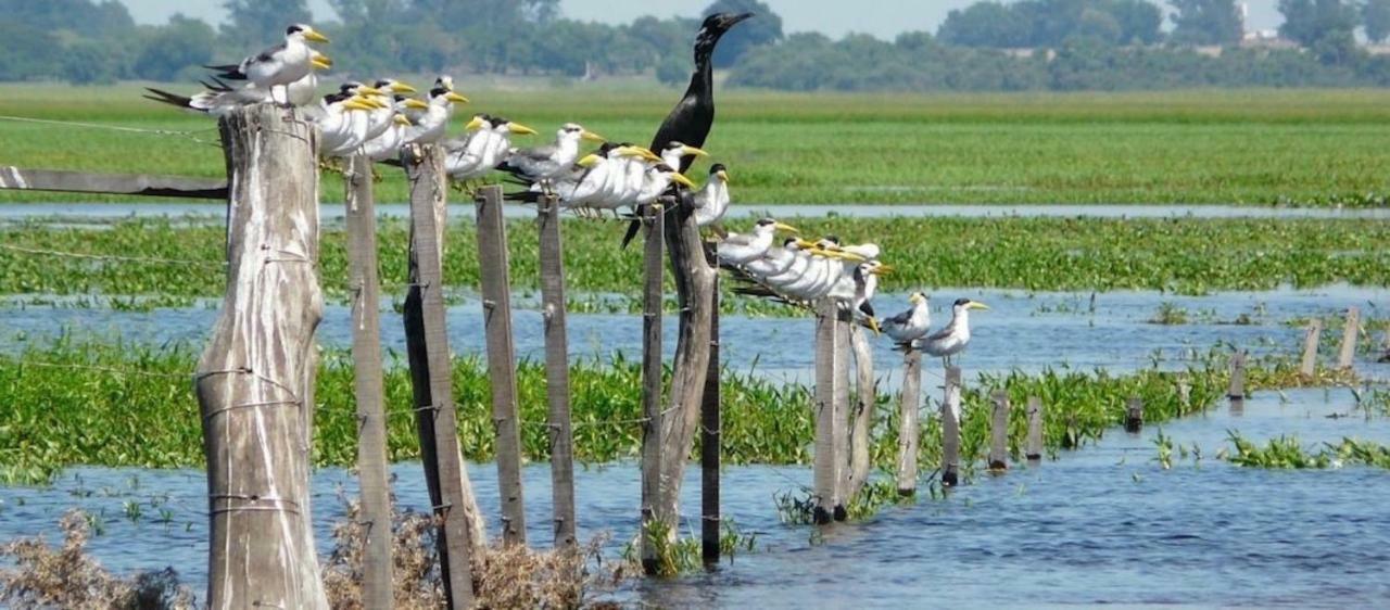 Posada Che Teindy Colonia Carlos Pellegrini  Bagian luar foto